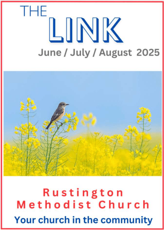 The Link Magazine Front Page with a small bird sitting on a yellow flower in a field of yellow flowers with a blue sky.