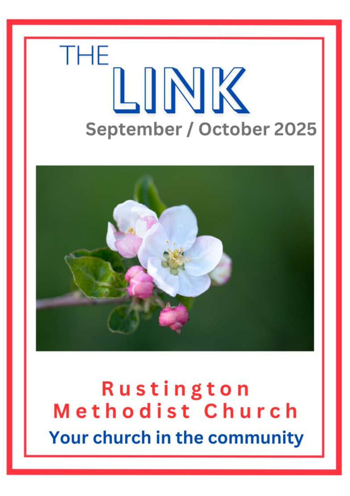 The Link Magazine Front Page with a small bird sitting on a yellow flower in a field of yellow flowers with a blue sky.