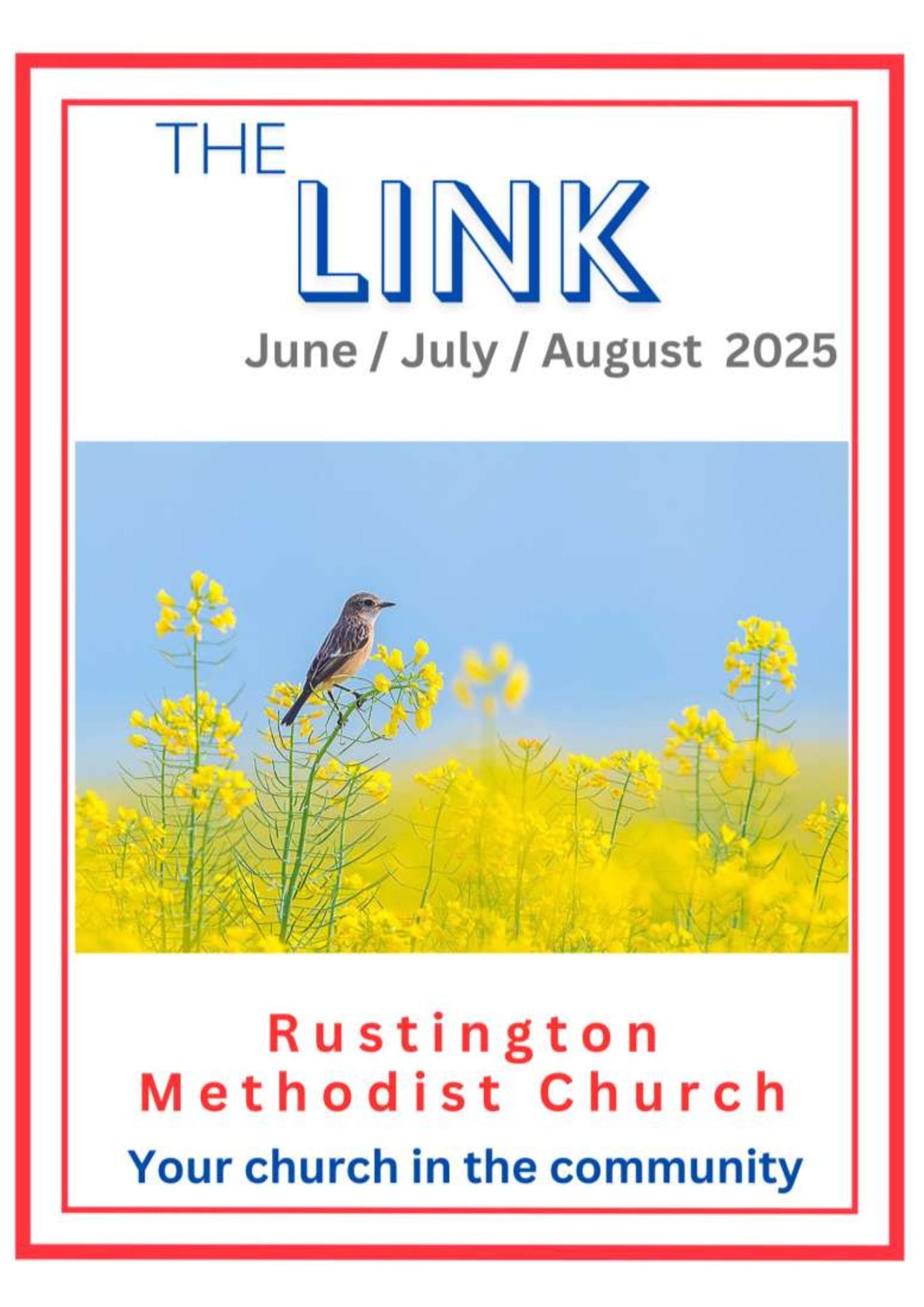 The Link Magazine Front Page with a small bird sitting on a yellow flower in a field of yellow flowers with a blue sky.